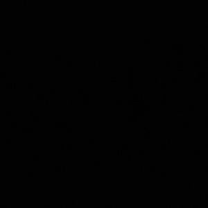 Meet your Posher, Dolores